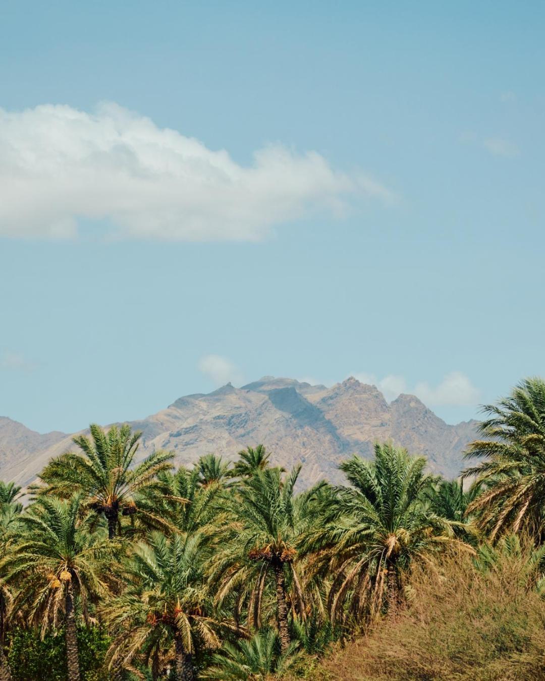 Mandarin Oriental, Muscat Hotel Exterior foto